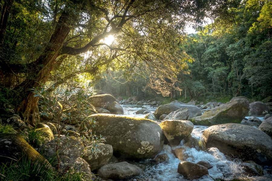 Mossman Gorge: Day Tour with River Drift Experience - Walking into the back country rainforest