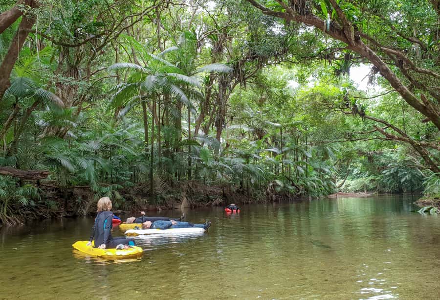 Mossman Gorge: Day Tour with River Drift Experience - What to expect on the river sleds
