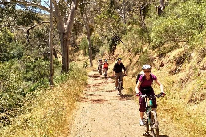 Mount Lofty Descent Bike Tour from Adelaide - What the first descent really feels like