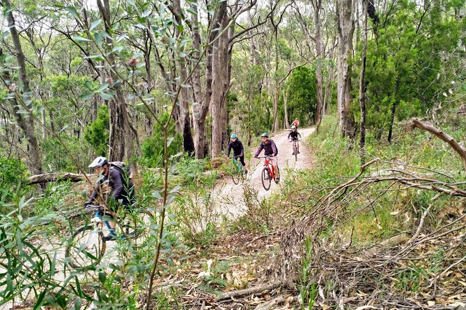 Mount Lofty Descent Bike Tour from Adelaide - Cleland Wildlife Park and morning tea