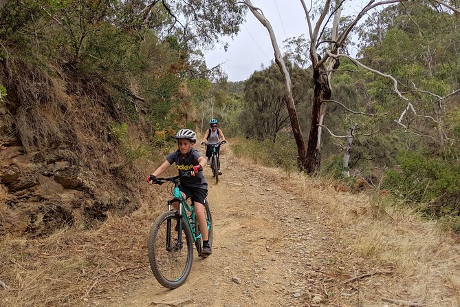 Mount Lofty Descent Bike Tour from Adelaide - Who should book this Adelaide bike tour?