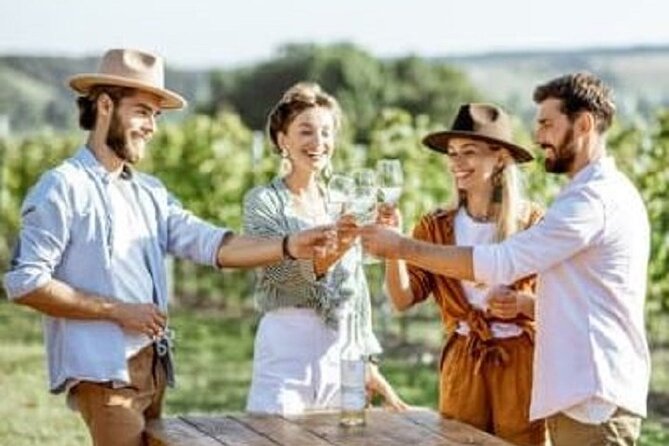 Mount Tamborine Deluxe Wine Tasting with Two Course Lunch - Key points to know before booking