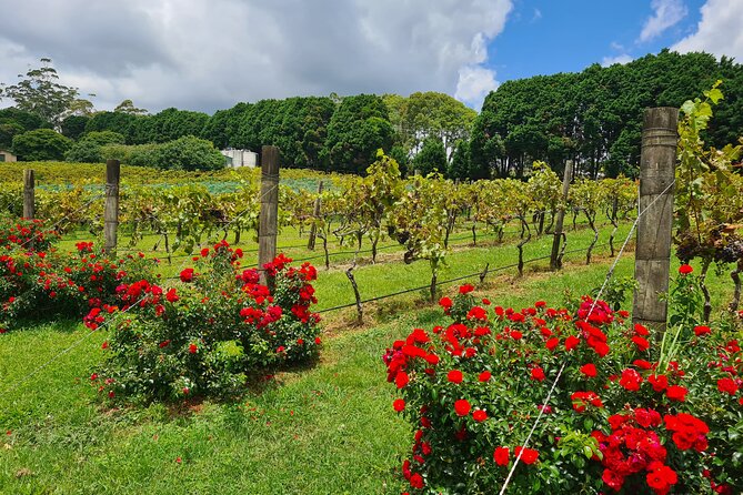 Mount Tamborine Wine Tasting Tour from Brisbane or the Gold Coast - What the small group changes