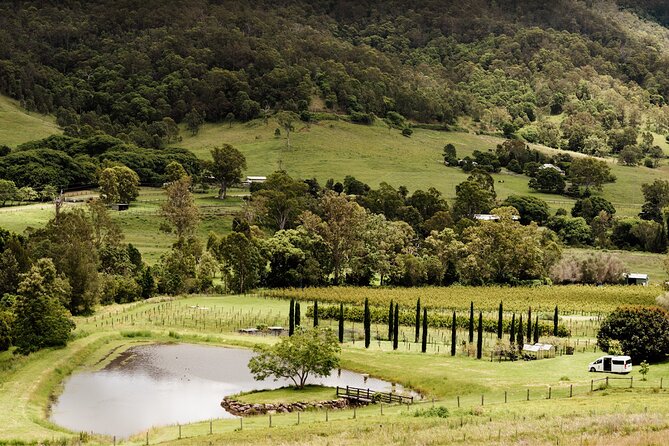 Mount Tamborine Winery Tour with Gourmet lunch - Three cellar doors on a cool mountain road