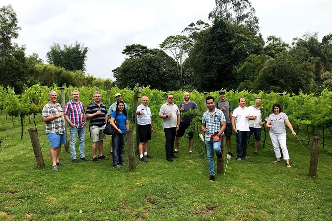 Mount Tamborine Winery Tour with Gourmet lunch - Hampton Estate Wines is the likely lunch highlight