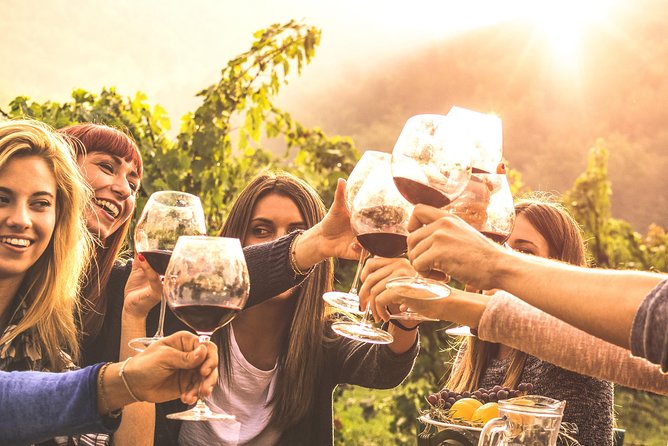 Mount Tamborine Winery Tour with Gourmet lunch - Practical tips before you reserve