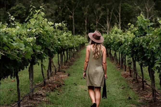 Mount Tamborine Winery Tour with Gourmet lunch - Witches Falls Winery brings choice beyond wine