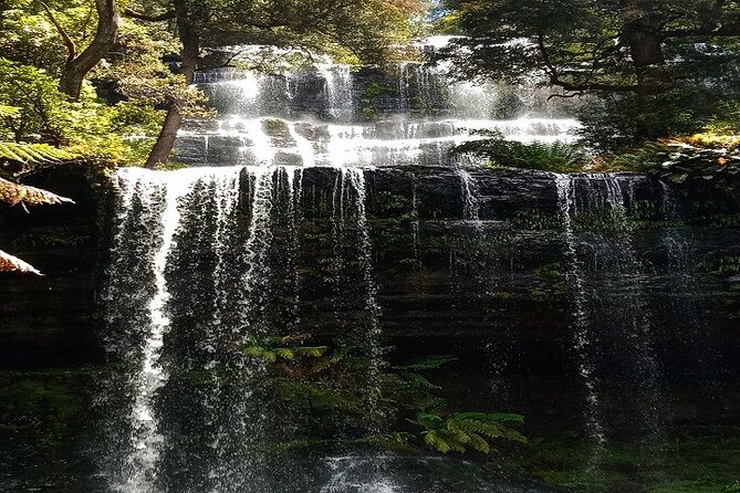 Mt Field National Park and Russell Falls from Hobart - Key points to know before you book