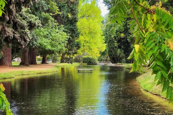 Mt Field National Park and Russell Falls from Hobart - What to bring for the forest