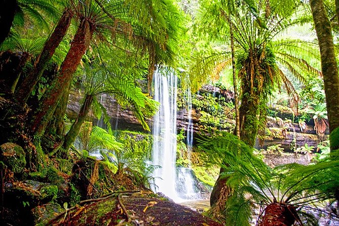 Mt Field National Park and Russell Falls from Hobart - Tall Trees puts Tasmania’s forests at eye level