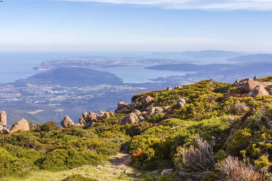 Mt Wellington: Ultimate Experience from Hobart - From Hobart waterfront to kunanyi/Mt Wellington