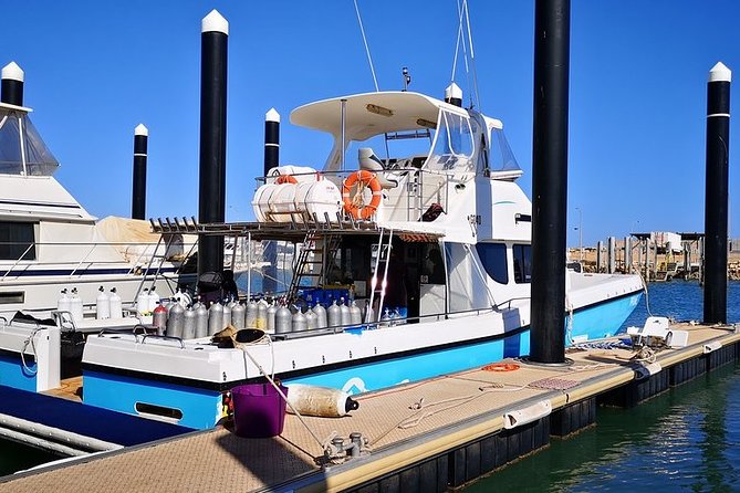 Muiron Island Diving Tour - Two underwater sites, two chances to see the reef