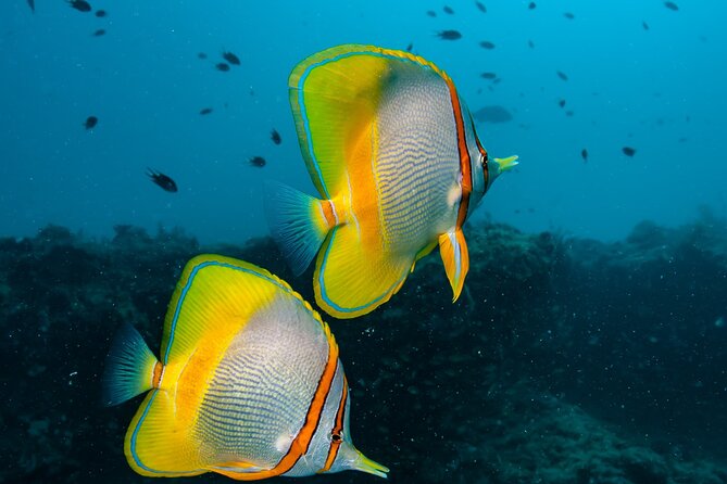 Muiron Islands Snorkeling in Exmouth - The 7:30 am departure and boat ride