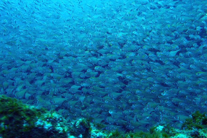 Muiron Islands Snorkeling in Exmouth - Lunch, fruit and the practical comforts