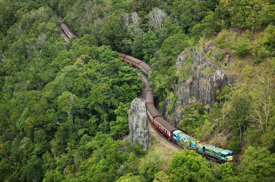 N. Queensland: Kuranda Rainforest Full-Day Tour - The day at a glance