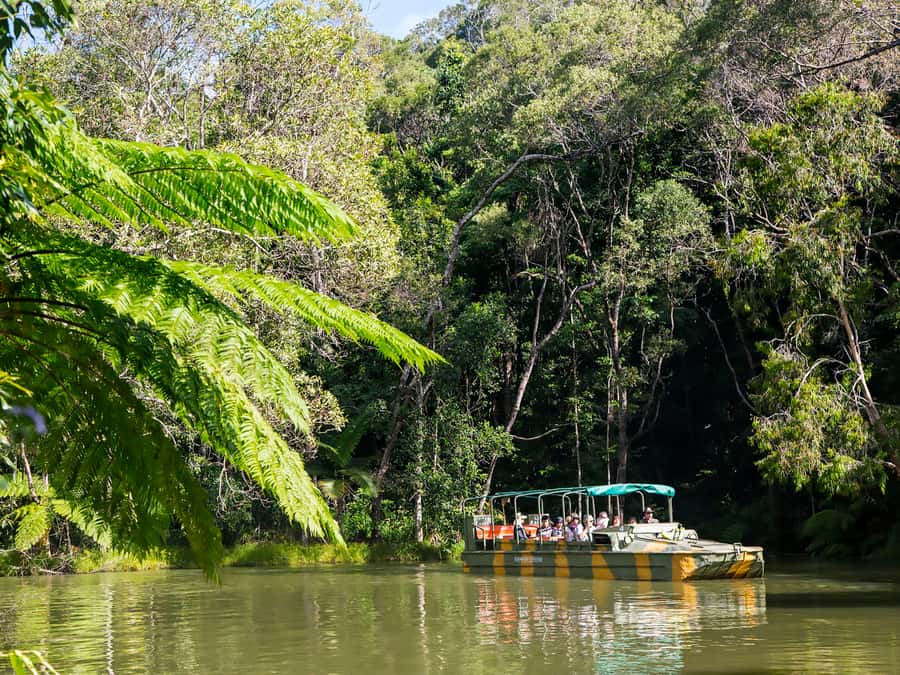 N. Queensland: Kuranda Rainforest Full-Day Tour - Why the railway and Skyrail work so well together