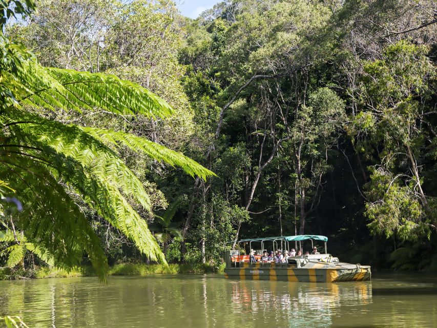 N. Queensland: Kuranda Rainforest Full-Day Tour - Pickup, timing, and how to avoid a bad start