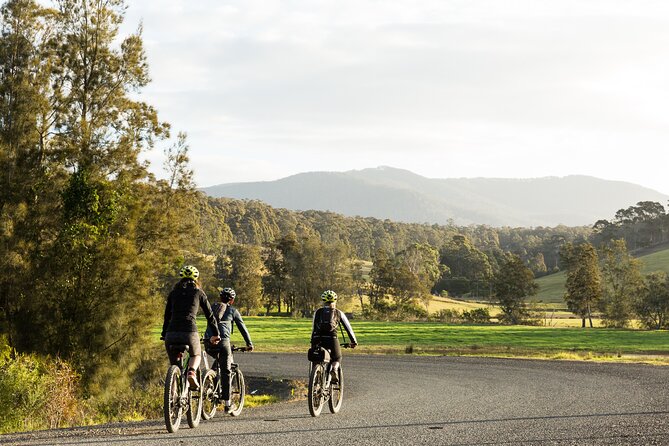Narooma - E-Bike Hire 2 Hour Rental - Wetlands behind Bar Beach