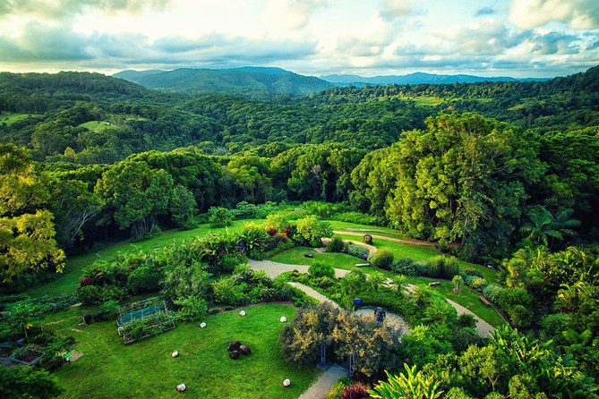Near Gold Coast: Crystal Castle Admission Ticket - Key points at a glance