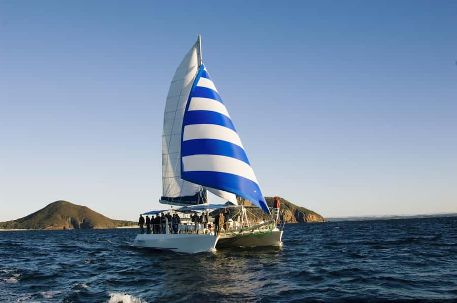 Nelson Bay: Dolphin Watch Cruise and Sail - Leaving d’Albora Marina Nelson Bay