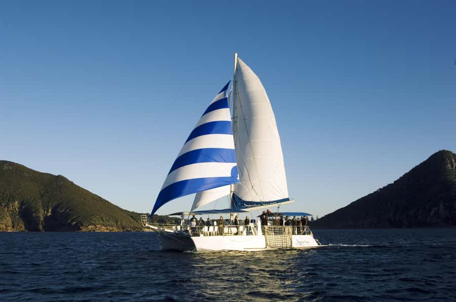 Nelson Bay: Dolphin Watch Cruise and Sail - Who should book this dolphin cruise?