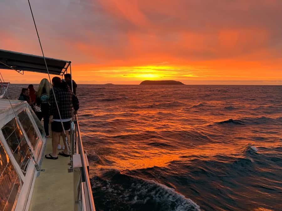 Nelson Bay: Whale and Dolphin Watching Catamaran Cruise - Choosing the best day and what to wear