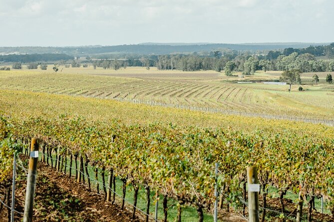 Newcastle: Boutique Hunter Valley Wine Tour - Small Mouth Vodka breaks up the wine