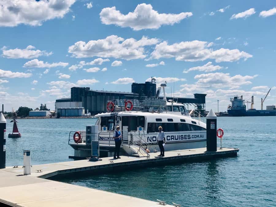 Newcastle: Humpback Whale Watching Cruise and Harbor Tour - Who will get the most from this 150-minute trip