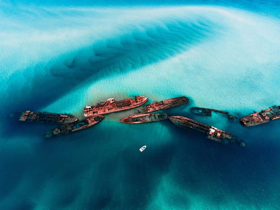 Newport: Moreton Island Snorkeling Tour with Lunch - The Tangalooma Wrecks are the main event