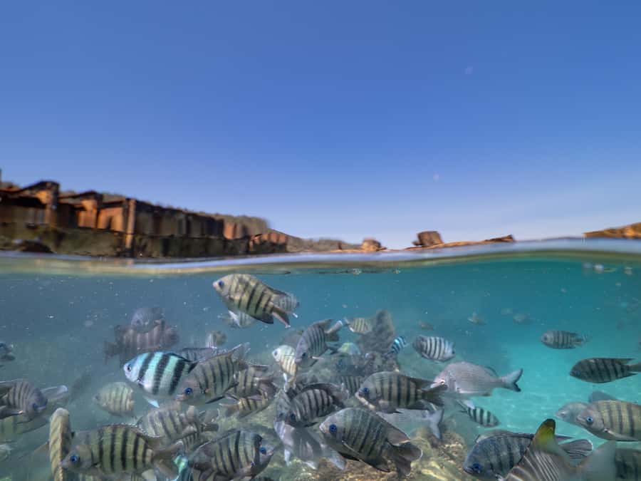 Newport: Moreton Island Snorkeling Tour with Lunch - Moreton Island beach time slows the pace