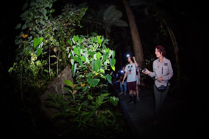 Night Walk in Cairns Botanic Gardens - Let's Go Buggin - What the Photography Advice Is Really Like