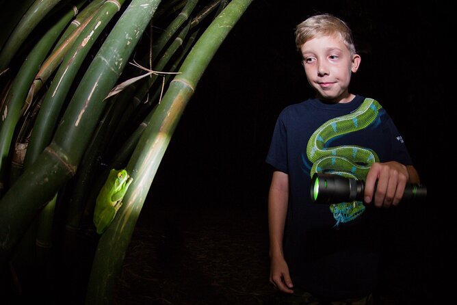 Night Walk in Cairns Botanic Gardens - Let's Go Buggin - Group Size, Pace, and Family Suitability