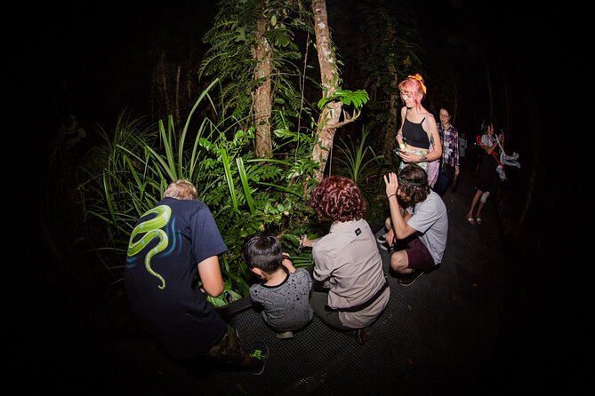 Night Walk in Cairns Botanic Gardens - Let's Go Buggin - Weather, Cancellations, and Simple Planning Advice