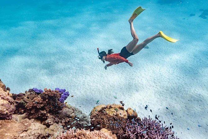 Ningaloo Reef Snorkel Adventure - Why shore-based snorkeling works so well here