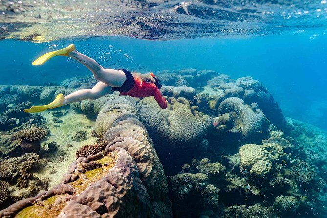 Ningaloo Reef Snorkel Adventure - Food, shelter, and the practical comforts