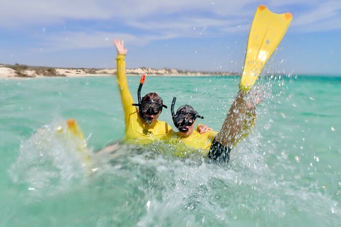 Ningaloo Reef Snorkel Adventure - Pickup, meeting point, and timing