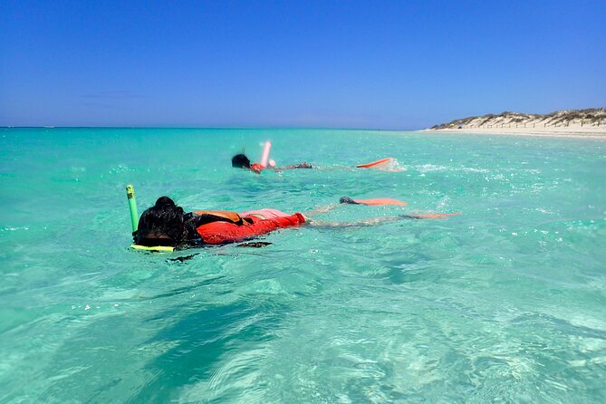 Ningaloo Reef Snorkel Adventure - Who will get the most from this outing