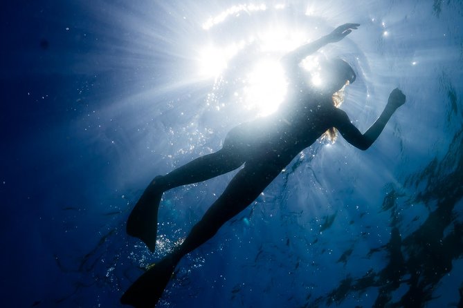 Ningaloo Reef Snorkel and Wildlife Adventure - A Small Boat Built for Ningaloo’s Shallow Reef
