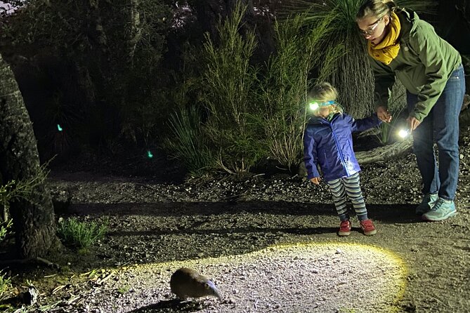 Nocturnal Wildlife Tour from Busselton - Key points to know
