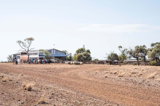 Nogo Station Experience - Captain Starlight’s camp and the bush lunch
