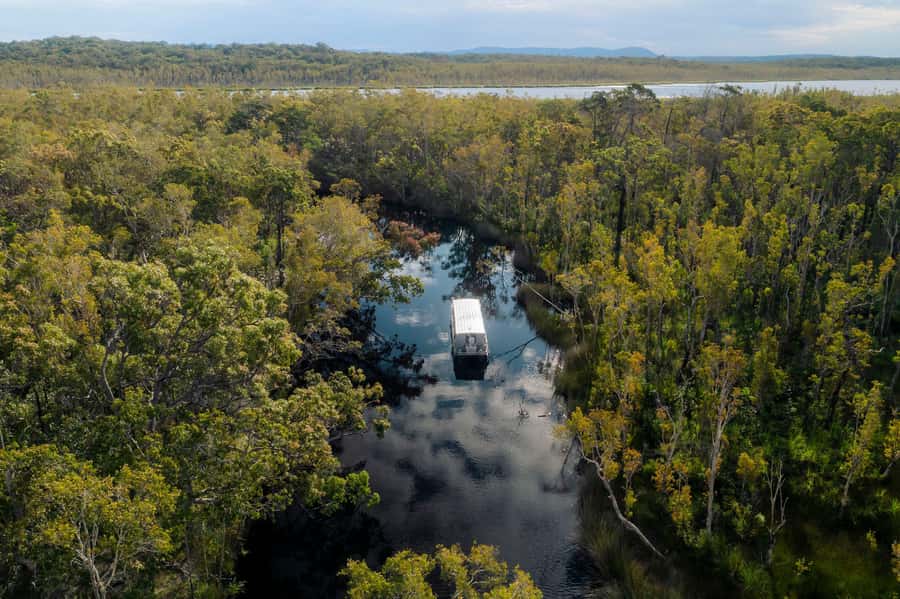 Noosa: Afternoon Cruise through the Noosa Everglades - Why the Noosa Everglades feel different from a standard river cruise