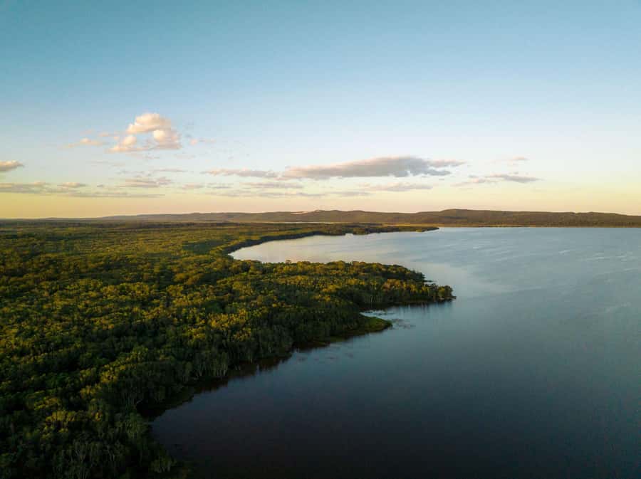 Noosa: Afternoon Cruise through the Noosa Everglades - Who will enjoy this afternoon most