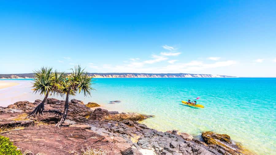 Noosa: Epic Ocean Kayak with Dolphins & 4WD Beach Adventure - Who will enjoy this Noosa adventure most