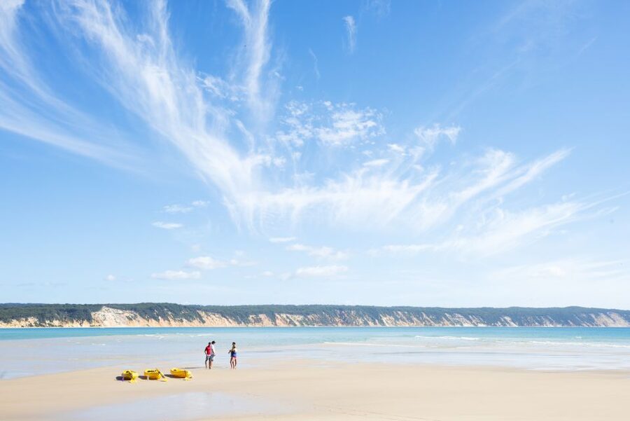 Noosa: Epic Ocean Kayak with Dolphins & 4WD Beach Adventure - Dolphins, turtles, whales, and the honest wildlife warning