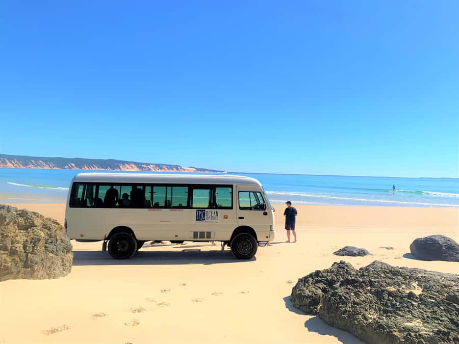 Noosa: Epic Ocean Kayak with Dolphins & 4WD Beach Adventure - What the $118 price includes