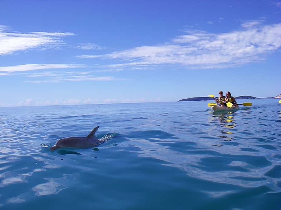 Noosa: Epic Ocean Kayak with Dolphins & 4WD Beach Adventure - What to pack for a six-hour coastal day
