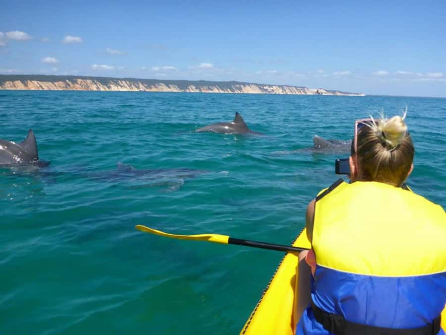 Noosa: Epic Ocean Kayak with Dolphins & 4WD Beach Adventure - The 4WD beach road through Great Sandy National Park