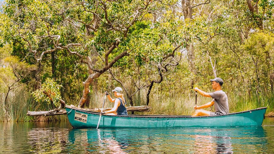 Noosa: Everglades Explorer Cruise - The eco-boat and the first look at the Everglades
