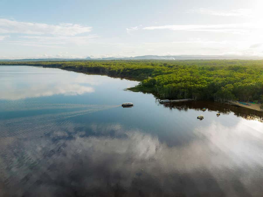 Noosa: Everglades Explorer Cruise - Who will enjoy this most