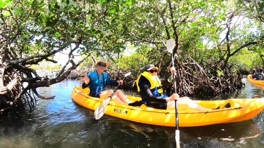 Noosa Heads: Hidden Waterways Wildlife Kayak (Self-Guided) - Through the mangrove tunnels
